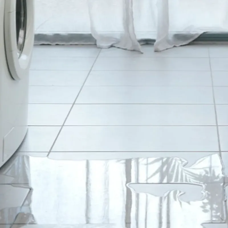 Appliance Leak Cleanup in Palouse, WA