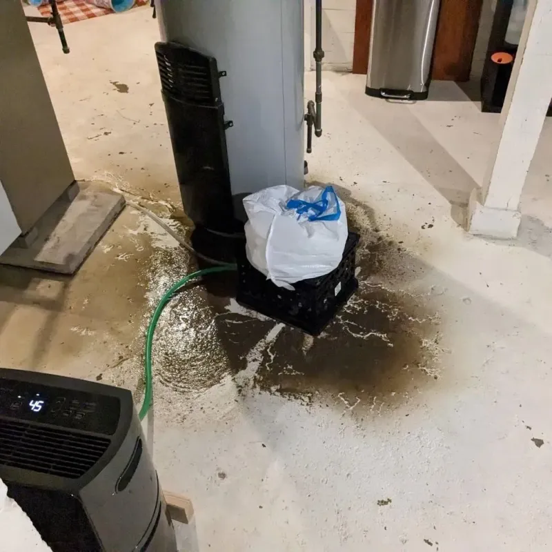 Sewage Backup Cleanup Service in Palouse, WA